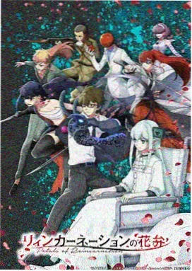 镜像魔法使 动漫